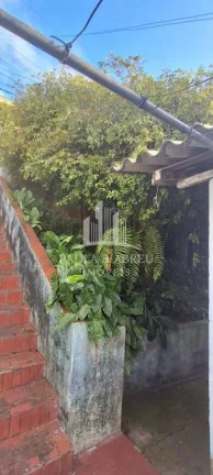 Imagem Terreno 300m² (10 X 30mts) com Casa Antiga com 6 Cômodos, Escritura no Jardim Zaíra 2, Mauá-SP