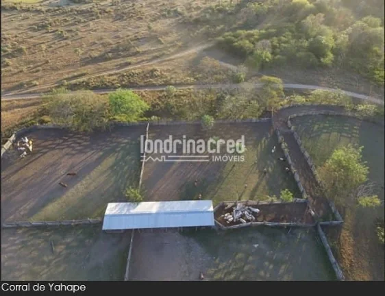 Imagem Fazenda à Venda no Paraguai por 900 dólares por hectare com Alto Potencial Pecuário