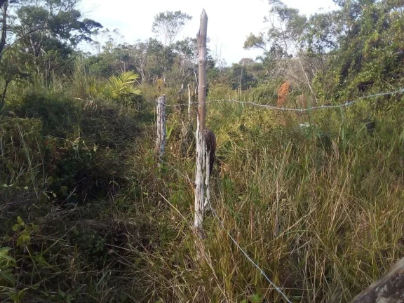 Imagem Terreno para Venda em Itanhaém, Aguapeú