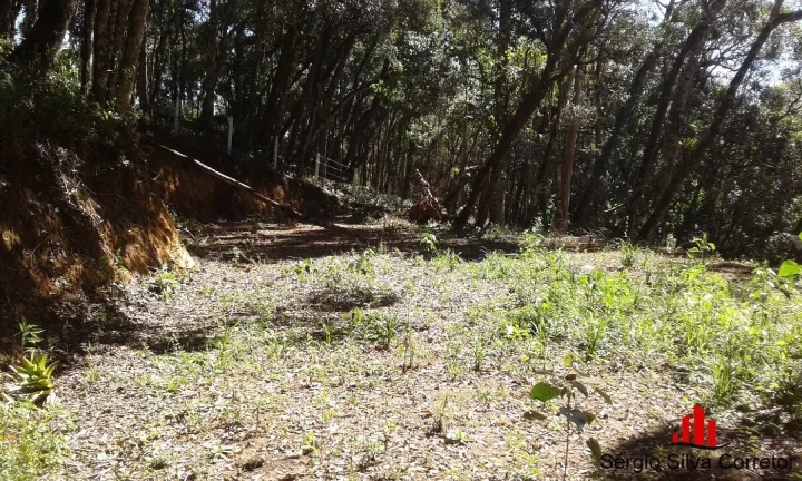 Imagem Terreno a Venda no Loteamento Nova Capivari, Campos do Jordão.
