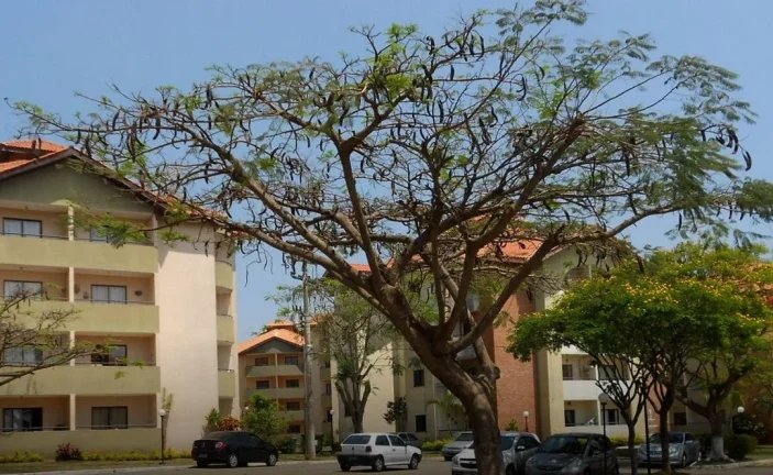 Imagem Oportunidade no Condomínio Morada das Américas, 63M² com 2 Dormitórios