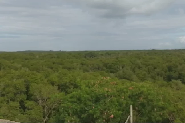 Imagem Casa para venda em Barra de Guaratiba
