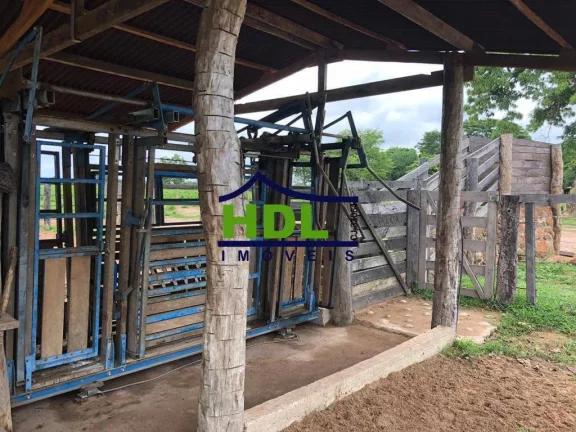 Imagem FAZENDA COM 1.180 ALQS ARAGUIANA MT