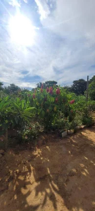 Imagem Sítio à venda, 45.000 m² por R$ 1.200.000 - Área Rural - Monte Mor/SP