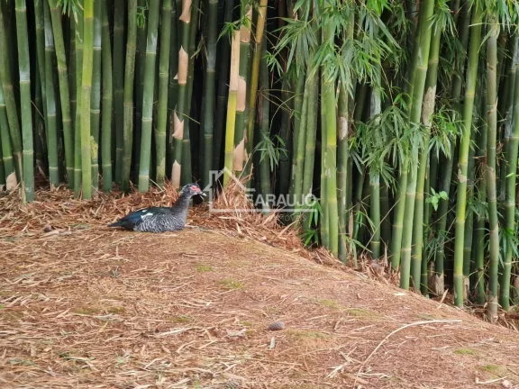 Imagem Terreno em Condomínio à Venda em Sorocaba-SP, sua oportunidade de viver com exclusividade!