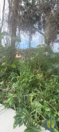 Imagem TERRENO EM ITAIPUAÇU 360M²