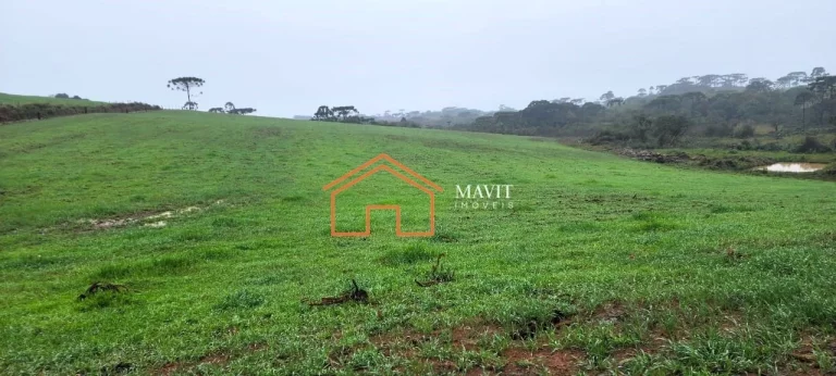 Imagem FAZENDA RURAL em CERRO NEGRO - SC, Interior