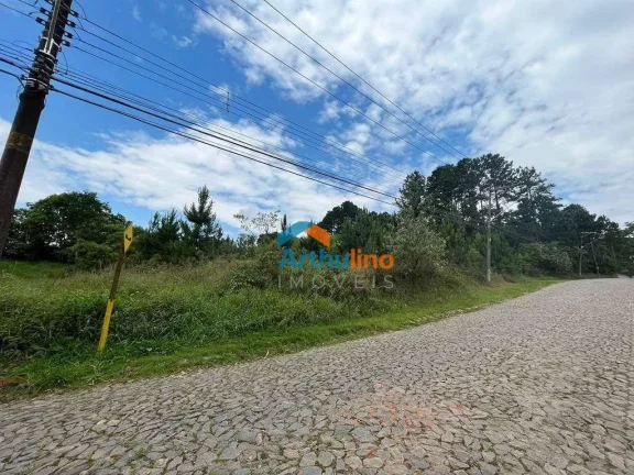 Imagem Terreno à venda, 4973 m² por R$ 3.500.000,00 - Paisagem Renoir - Cotia/SP