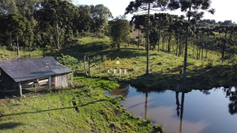 Imagem Chácara - Sítio com 3 Dormitorio(s) localizado(a) no bairro Serra Grande em Três Coroas / RIO GRANDE DO SUL Ref.:1016
