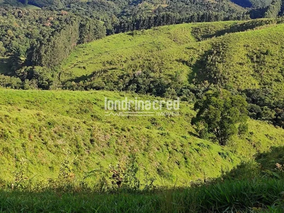 Imagem Chácara à venda 744000M², Zona Rural, Castro - PR