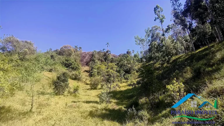 Imagem Paraíso Ecológico na Mantiqueira: 44 ha com vista espetacular e nascentes!