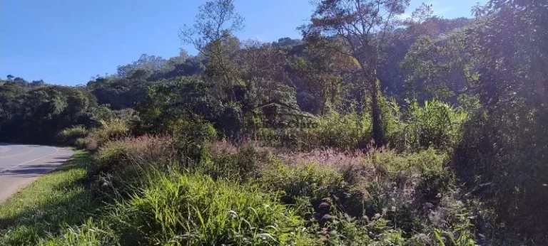 Imagem Terreno à venda no bairro Cedro - Cunha/SP