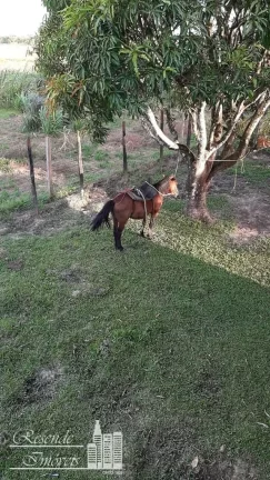 Imagem FAZENDA A VENDA NO RURAL MARGEM DO RIO CAMARÁ