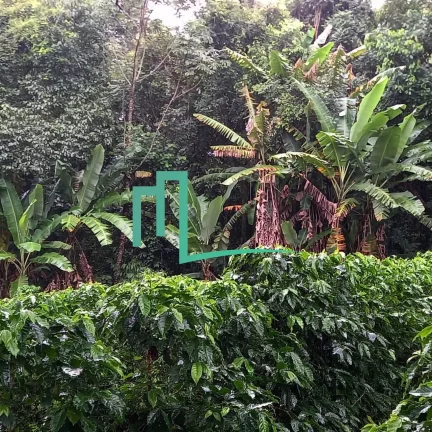 Imagem SÍTIO RURAL em monte santos de minas - MG, Morro Dois Irmãos