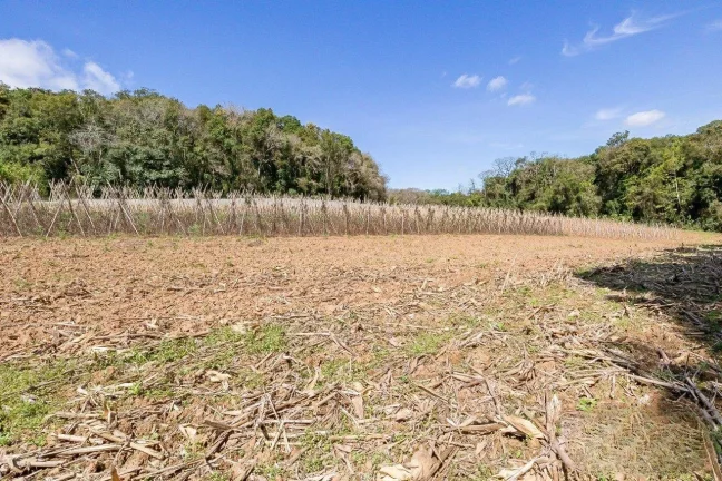 Chácara no Ferraria - Passaúna