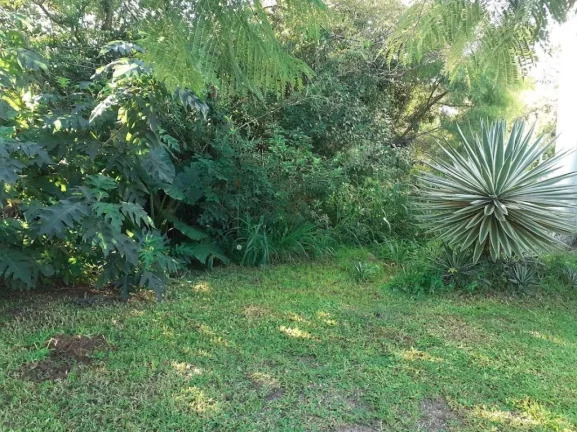Imagem IEJP 130 Lote TE0019 - Terreno à venda no bairro Ipanema - Porto Alegre/RS