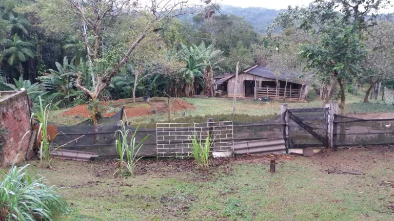 Imagem Chácara na Serra da Graciosa em frente ao Asfalto - Antonina - R$900mil