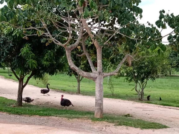 Imagem Terreno à venda, 275 m² por R$ 660.000,00 - Condomínio Ibiti Royal Park - Sorocaba/SP