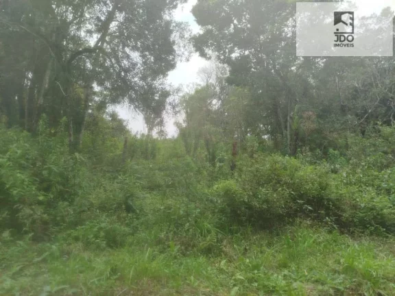 Imagem Terreno a Venda no bairro Del Rey - São José dos Pinhais, PR