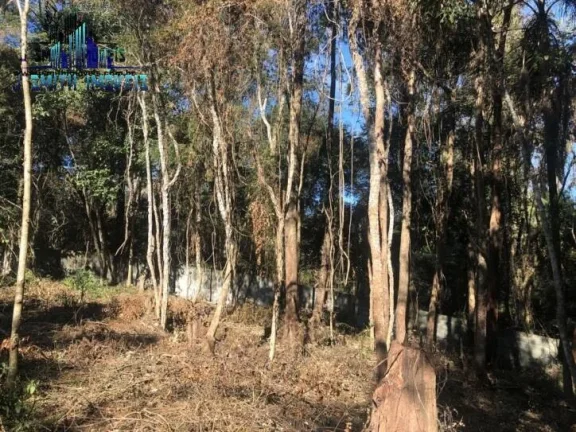 Imagem TERRENO 500 m² DENTRO DE CONDOMÍNIO FECHADO.

Área com 20 metros de frente, e com vegetação sec...
