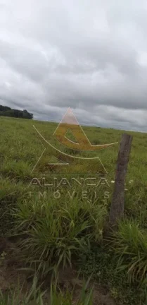 Imagem Fazenda - Guaraí - Guaraí