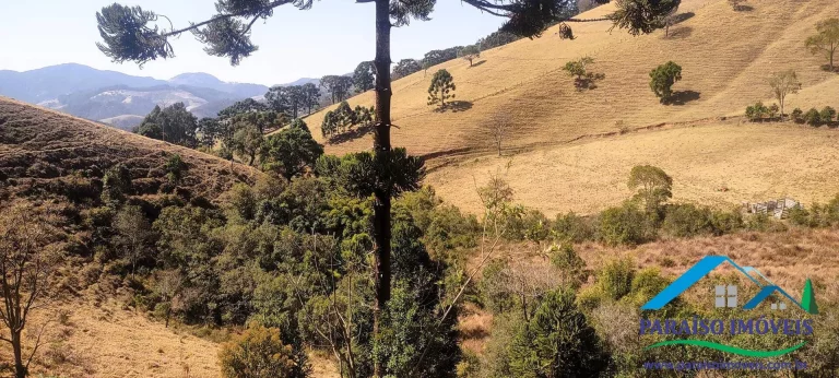 Imagem Conecte-se à Natureza: Terreno Rural com Nascente e Vista Panorâmica!