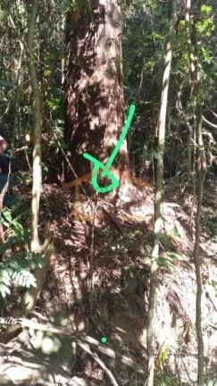 Imagem Área verde para preservação - Lote 30, Quadra J - Mairiporã/SP

Área total do terreno: 1.180,40...