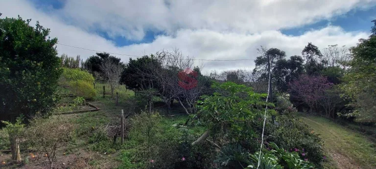Imagem Chácara à venda em Campo Largo/PR
