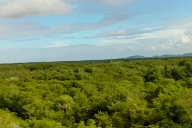 Imagem Casa para venda em Barra de Guaratiba