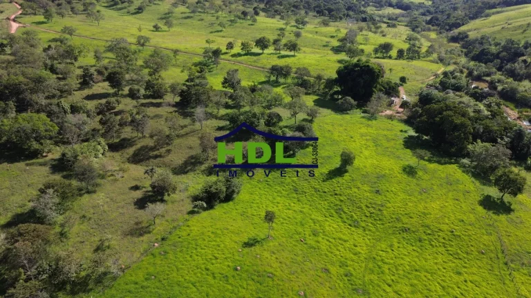 Imagem Chácara Top 4 Tanques de peixes 100 Kms de GoiâniaSão 4,3 alqs Casa simples, com pomar com muita ...