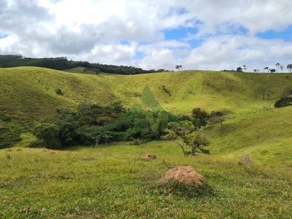 Imagem Lindo Sítio à Venda e Piracaia 20Alq