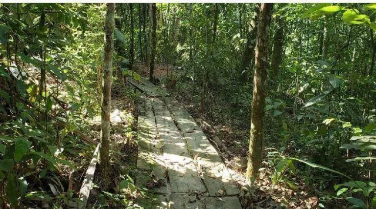 Imagem Terreno à venda, 1000 m² por R$ 650.000,00 - Condomínio Fazenda Jequitibá - Sorocaba/SP