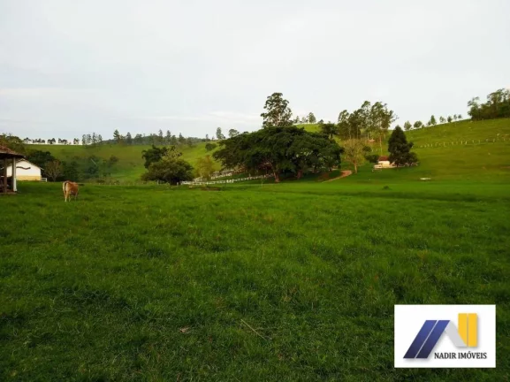 Imagem Fazenda à Venda, 968.000 m² em área Rural - Brasópolis