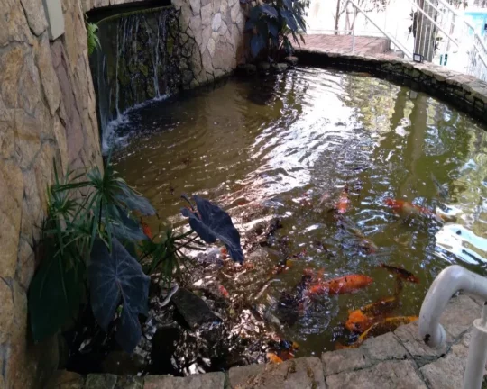 Imagem Apartamento próximo do shopping Raposo