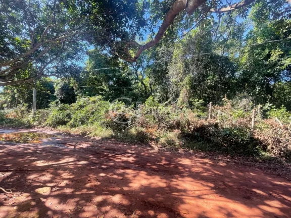 Imagem Chácara à Venda em Campo Grande-MS: 10.000 m² na Chácara dos Poderes!