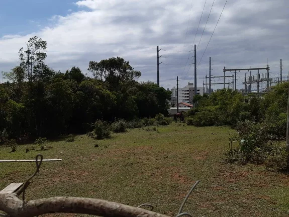 Imagem Terreno à Venda, 5.401,60 m² Madri, Palhoça, SC