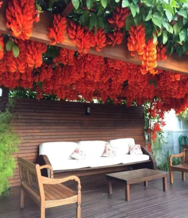 Imagem Casa com 3 dormitórios à venda - Jurerê Internacional - Florianópolis/SC