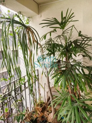 Imagem Apartamento à Venda em Vila Nova Conceição - São Paulo/SP.