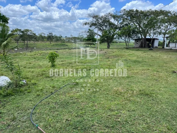 Imagem Fazenda Com 2 casas curral, açudes, poço, 7.500hc as margens da bar. tapacurá
