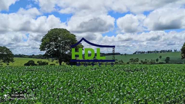 Imagem 28 alqs com 24,5 alqs em Soja.