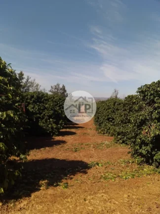 Imagem Fazenda de Café à Venda na Região do Alto Paranaíba - Minas Gerais