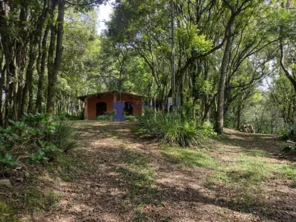 Imagem CHÁCARA EM BALSA NOVA COM 29.342,50M²