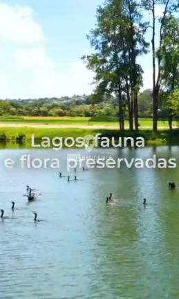 Imagem Quinta da Primavera: O Destino dos Seus Sonhos a Apenas 95 km de São Paulo