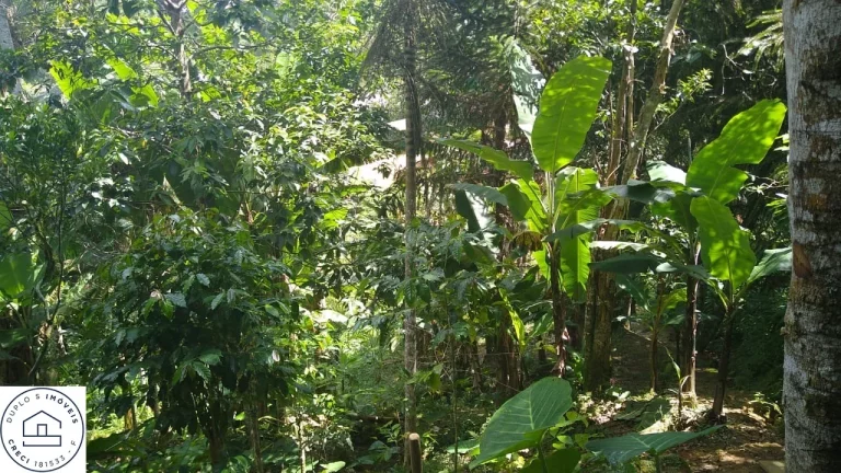 Imagem Chácara para venda em Cipó Guaçu - Embu Guaçu / Depois de parelheiros.