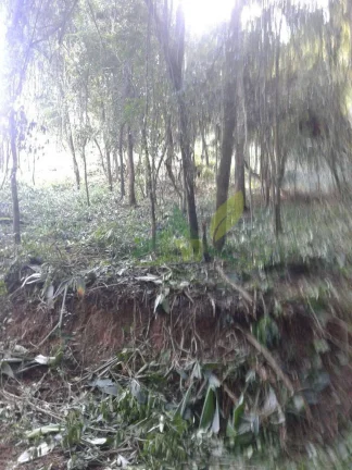 Imagem Terreno à Venda: 3.370m² em Loteamento a 2km da R. Fernão Dias