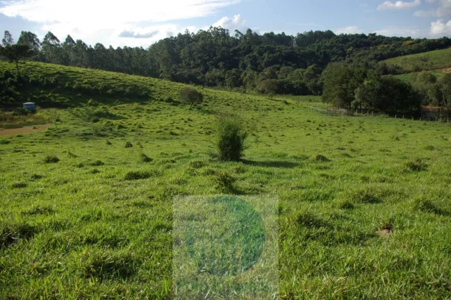 Imagem Sítio 13,5 alqueires R$ 150.000 valor do alqueire, excelente estrutura, planta milho, soja, tem 2.000 pés de mexerica - Jacuí - Minas Gerais