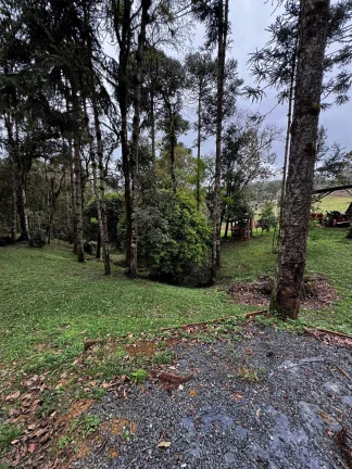 Imagem Chácara com 15.000 m² em Salto do Engenho | Campo Alegre/SC