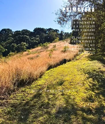 Imagem Um refúgio vivo na Mantiqueira. Natureza, consciência e liberdade.