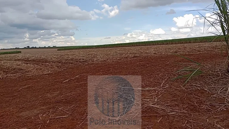 Imagem Fazenda Palmira 773 alqueires, a 60 km de Ribeirão Preto - SP, estrutura, cana e muita água - Serra Azul - SP - Brasil