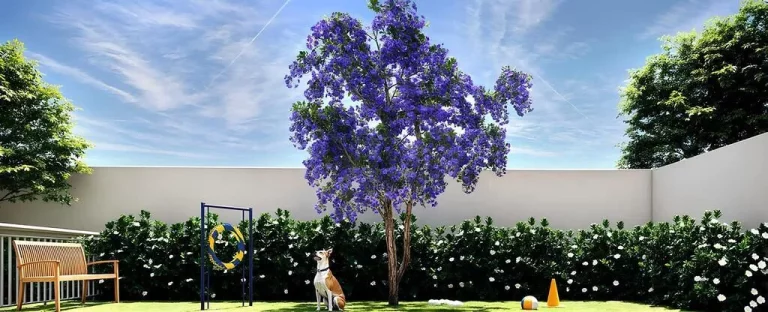 Imagem Oli Ipiranga - Residencial